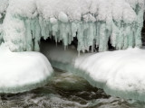 Brrrr!!