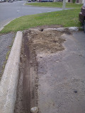 Groundhog makes home under parked car!