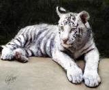 White Tiger Cub 2