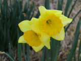 Spring time coming