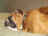 Sleeping Angel