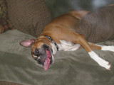 Dig tired