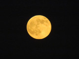 huge moon