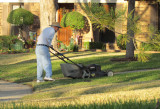 He never misses a chance to mow