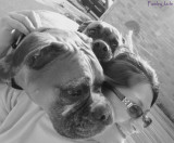 they make me smile