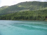 Kenai River-5533