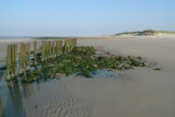 Westpunt Rottumeroog