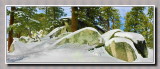 Snow scenery on trail treeking  3-IMG_2232 -2234 -.jpg