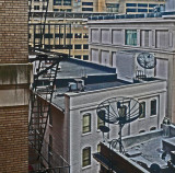 City Contrasts