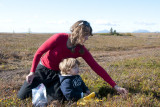 8942 - Berry Picking