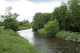Stream near Kells Priory, County Kilkenny (3192)