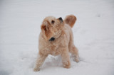 Another snowy day