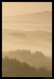 8102 Terschelling dunes at sunrise