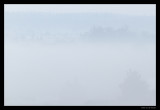 4312 Holterberg mist before sunrise