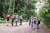 Birding the Pipeline Road