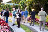 Birding on the way to breakfast