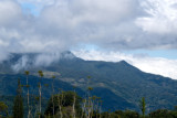 Clouds gather over the forest  