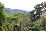 At Amistad International Park near the border with Costa Rica