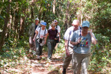 Maipo Trail in Chagres National Park