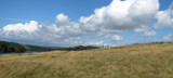 3052-3.jpg