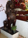 Janmastami 2011 Temple Lion With Tulsi