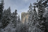 Yosemite Valley Winter Color