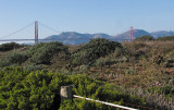 Golden Gate Bridge from the path. 1948