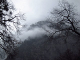 At the entrance to the path to Lower Yosemite Falls, Day 2  #3683,