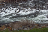 Scene from bus. Merced River. #3836crop