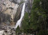 Lower Yosemite Falls, March. SX.. #2296