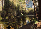 Merced River.  A more secluded area. Reflections vs shadows. #2774