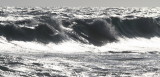 IMG_3709.JPG