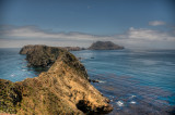 7/27/11- Anacapa Island, Channel Islands, California