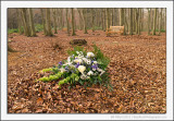 A Woodland Burial