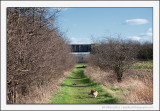 Railway Walk