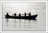 Skiff Racing