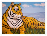 Scottish Tiger