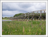 Boardwalk