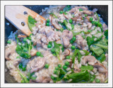 Risotto