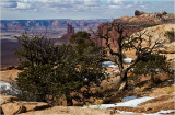  Canyonlands NP