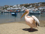 Mykonos