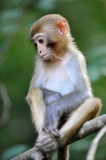 DSC_6861c.jpg