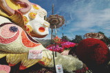 Rose Parade 2008,  International Award