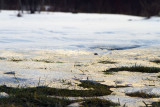 03/03/2011 - _MG_0028.jpg
