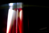 03/09/2011 - _MG_0059.jpg