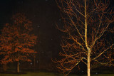 03/10/2011 - _MG_0072.jpg