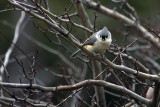 03/19/2011 - _MG_0123.jpg