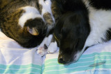 03/31/2011 - _MG_0279.jpg
