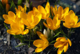 04/03/2011 - _MG_0318.jpg
