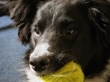 Murphy_IMG_0769.jpg